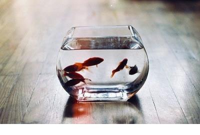 家长鼓励孩子的话大全