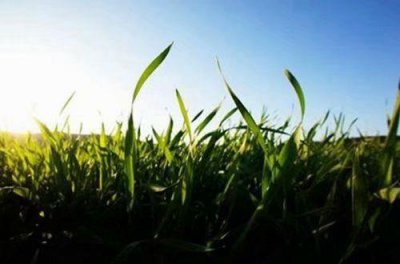 ​早安心语 励志早安打卡语录推荐39句