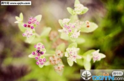 ​让我心寒的句子[24句] (表达彻底心寒失望的句子)