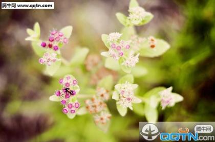 表达彻底心寒失望的句子