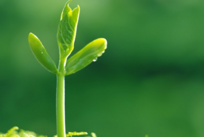 ​性格又温柔的女生朋友圈说说(精选53句)