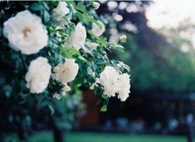 ​发朋友圈的午安励志语（午安心语简短）