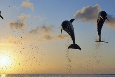 ​心情郁闷的经典词句(精选26句)