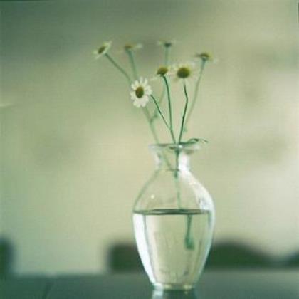 比较励志感人的句子大全