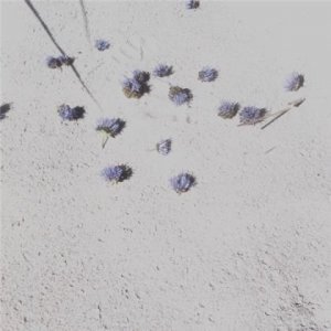 ​不忘初心励志短句（久别重逢适合发朋友圈的短句）