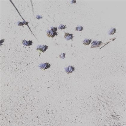 不忘初心励志短句