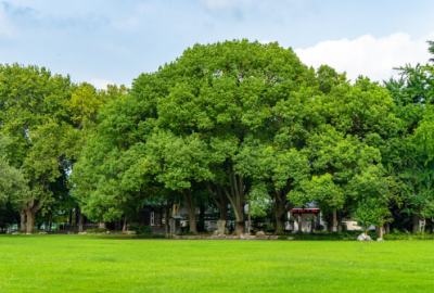 ​心情不好的说说 人生没有那么多开心的事情