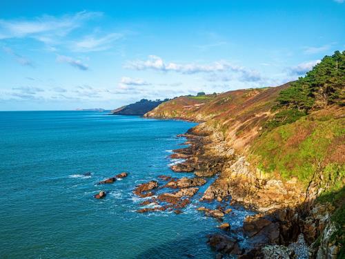 告别朋友圈的图片