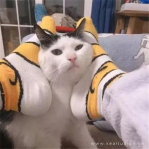 ​工作太累的心情短语（表达很累很疲惫的句子）