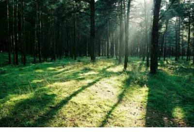 励志唯美短句图片