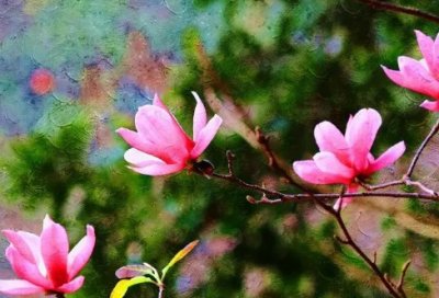 ​诺贝尔奖获得者经典语录精选35句