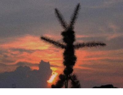 新年上班朋友圈说说