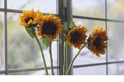 新年上班朋友圈说说