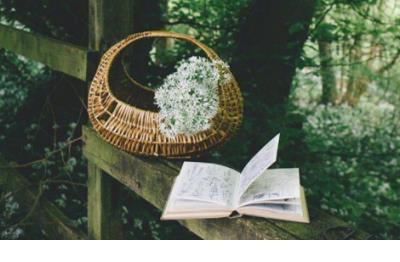 表达心情的句子经典