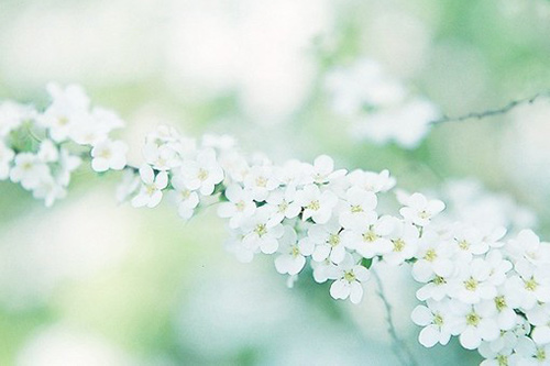 描写心情比喻句10句