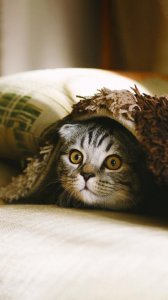 ​鼓励人坚持下去的句子 为梦想奋斗的励志句子