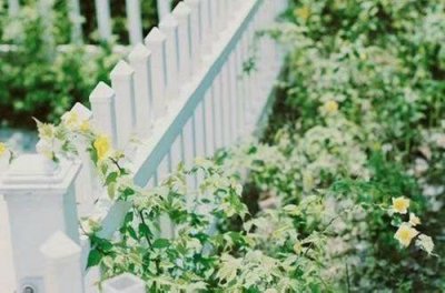 ​精诚合作励志短句(22句)