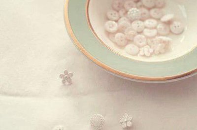 ​形容兰花优美句子 兰花的励志句子(28句)