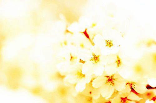 关于服务行业的励志句子