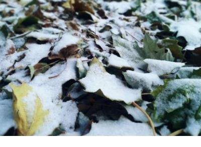 打动人心爱情表白句子作家