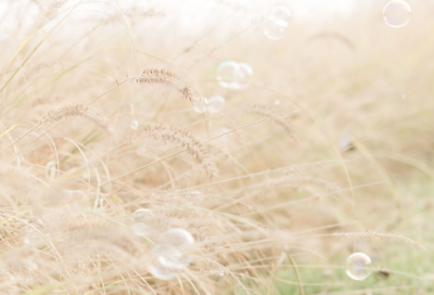 ​英语好句子加翻译励志