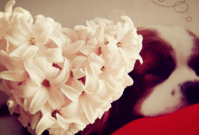 ​励志阳光正能量说说