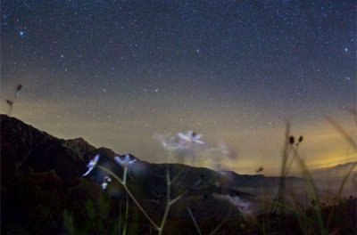 ​女人对爱情的失望的句子