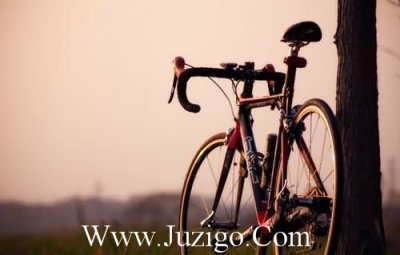 ​爱情的歇后语大全29句