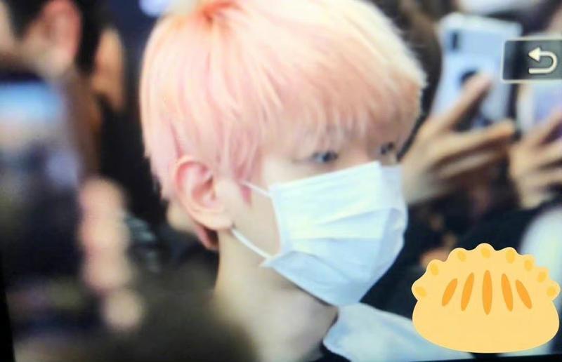 描写樱桃开花的句子精选90句