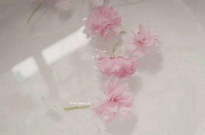 ​春优美句子摘录72条