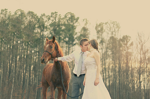 关于猴的英文谚语