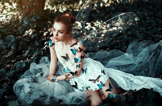 建议专家别再建议的即评句子