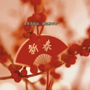 ​20句迎春节的文案