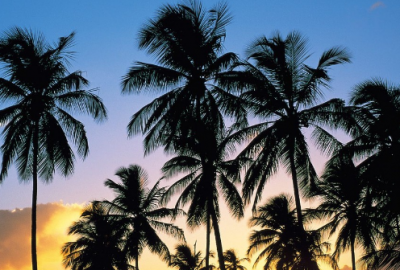 ​孕妈妈要卸货说说(精选25句)