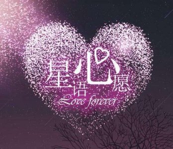 ​星语心愿文案短句（20句星语心愿积极向上的句子）