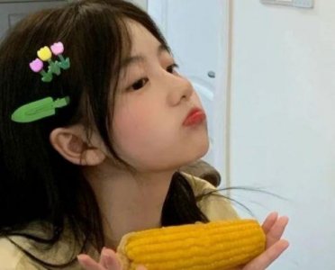 ​网络上的文明用语文案(30句)