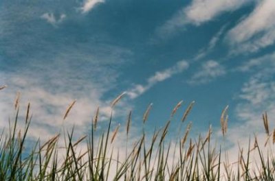 ​成熟气质女人 气质说说发朋友圈