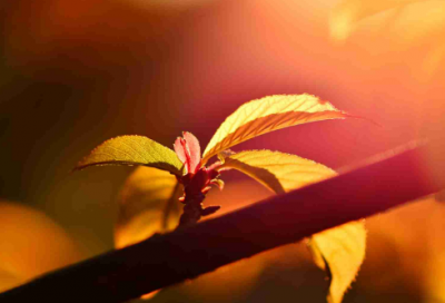 ​设计一个娟字的网名(精选71个)