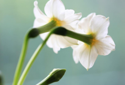 ​qq个性网名67个