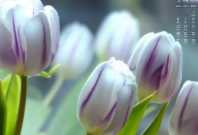 ​设计工作室名字(精选63个)