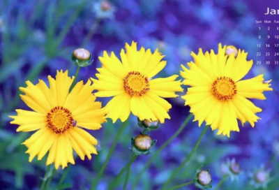 ​唯美高端的美容院名字大全(61个)