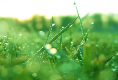 ​以爱字开头的网名大全(共70个)