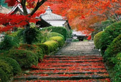 ​带有婷字的网名(73个)