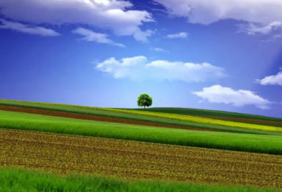 ​古诗词中截取的网名(精选73个)