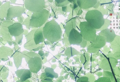 ​一眼就心动的宝藏网名 第一眼就心动的网名