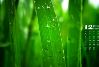 ​qq群成员名字前缀(共76个)