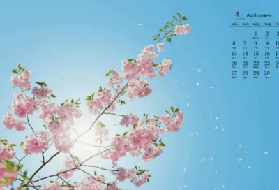 ​独一无二好听姓罗网名(优选75个)