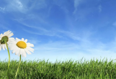 ​年更有创意有内涵的名字(精选72个)