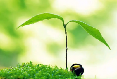 ​一家人温馨的相册名字(精选61个)