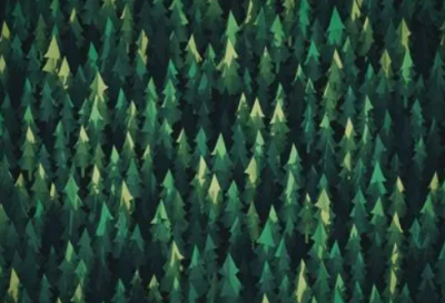 ​重阳节活动好听的名字(优选61个)